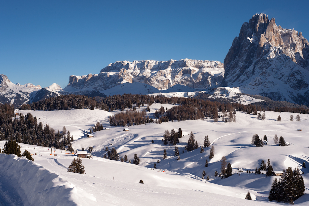 A trip to Alpe di Siusi - Bertazzoni